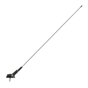 Antena Auto PaVIlion