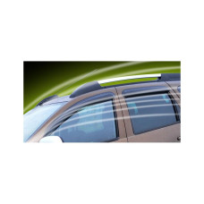 Set 2 Deflectoare Spate Megane II 02-08