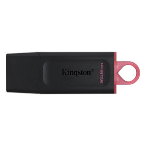 Flash Drive 256Gb Dt Usb 3.2 Gen1 Kingston
