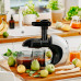 Storcator Slow Juicer Ad 4130 Adler