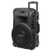 Sistem Audio Portabil Sd Bluetooth Usb 12 Inch 20W