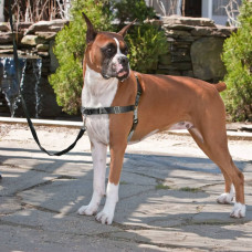 Petsafe Ham Pentru Câini „Easy Walk”, Negru, M
