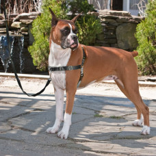 Petsafe Ham Pentru Câini „Easy Walk”, Negru, L