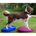 Fitpaws Platformă Echilibru Animale De Companie "K9Fitbone", Bleu, Pvc
