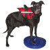 Fitpaws Disc De Echilibru Pentru Animale De Companie, Albastru, 36 Cm