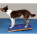 Fitpaws Placa De Balansare Gigant, Albastru, 75X75 Cm