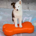 Fitpaws Platformă Echilibru Animale K9Fitbone, Portocaliu, 58X29X10 Cm
