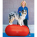 Fitpaws Platformă Echilibru Animal Companie Trax Peanut Roșu 50 Cm