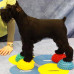 Fitpaws Lăbuțe De Echilibru Pentru Animale De Companie, 4 Buc.