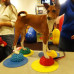 Fitpaws Lăbuțe De Echilibru Pentru Animale De Companie, 4 Buc.