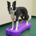 Fitpaws Platformă Echilibru Animale Giant K9Fitbone, Violet, Pvc