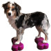 Fitpaws Platformă Echilibru Animale Mini K9Fitbone,2 Buc,29X16,5X6 Cm