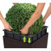 Lechuza Jardinieră "Cube Cottage 50 All-In-One", Mocha