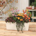 Lechuza Jardinieră Balconera Color 50 All-In-One, Alb, 15670