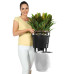 Lechuza Jardinieră Classico 35 Ls All-In-One, Alb Extralucios, 16060
