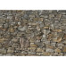 Komar Fototapet Mural Stone Wall, 368 X 254 Cm, 8-727