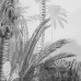 Komar Fototapet Mural Lac Tropical Alb & Negru, 200X270 Cm