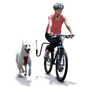 Springer Kit De Antrenament De Bicicletă Pentru Câini