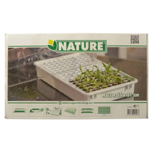 Nature Set Cu Propagator Pentru Plante, 55 X 31 X 22 Cm, 6020203