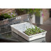Nature Set Cu Propagator Pentru Plante, 55 X 31 X 22 Cm, 6020203