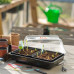 Nature Propagator Cu Element De Încălzire, 38X24X19 Cm