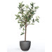 Emerald Măslin Artificial, Arbust Miniatural, 65 Cm