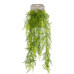 Emerald Asparagus Plumosus Artificial, 80 Cm