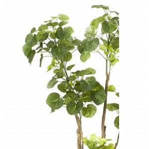 Emerald Arbore Artificial Polyscias, 135 Cm, 420292