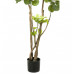 Emerald Arbore Artificial Polyscias, 135 Cm, 420292