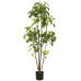 Emerald Arbore Artificial Polyscias În Ghiveci, 160 Cm