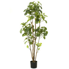 Emerald Arbore Artificial Polyscias În Ghiveci, 160 Cm
