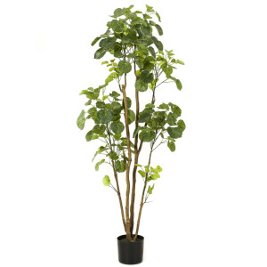 Emerald Arbore Artificial Polyscias În Ghiveci, 160 Cm