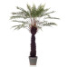 Emerald Arbore Ferigă Artificială Dicksonia, 125 Cm, În Ghiveci