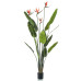 Emerald Arbore Artificial De Strelitzia Cu 4 Flori În Ghiveci 150 Cm