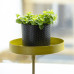 Esschert Design Tavă Pentru Plante Cu Clemă, Auriu, Rotund, S