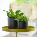 Esschert Design Tavă Pentru Plante Cu Clemă, Auriu, Rotund, L