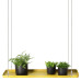 Esschert Design Tavă Plante Suspendată, Auriu, Dreptunghiulară, L