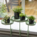 Esschert Design Tavă Pentru Plante Cu Clemă, Verde, Rotund, S
