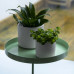 Esschert Design Tavă Pentru Plante Cu Clemă, Verde, Rotund, L