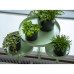 Esschert Design Tavă Pentru Plante Cu Clemă, Verde, Rotund, L