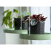 Esschert Design Tavă Pentru Plante Suspendată, Verde, Rotund, S