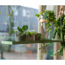 Esschert Design Tavă Pentru Plante Suspendată Verde Dreptunghiulară, L