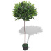 Dafin Artificial Cu Ghiveci, 125 Cm, Verde