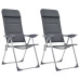 Scaun De Camping, 2 Buc, Gri, 58 X 69 X 111 Cm, Aluminiu