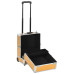 Troler De Cosmetice, Auriu, 35 X 29 X 45 Cm, Aluminiu
