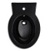 Set Toaletă Și Bideu Ceramică Negru