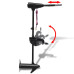 Motor Electric De Trolling P22 20,9 Kg