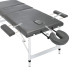 Masă De Masaj Cu 3 Zone, Cadru Aluminiu, Antracit, 186 X 68 Cm
