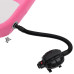 Pompă De Aer Electrică, Negru