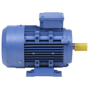 Motor Electric Trifazic Aluminiu 2,2Kw/3Cp 2 Poli 2840 Rpm
